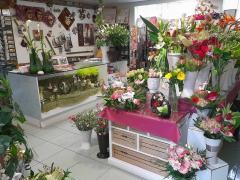 Te koop bloemen - plantenzaak ideaal gelegen centrum Doornik - Bergen - Kortrijk Henegouwen n°5
