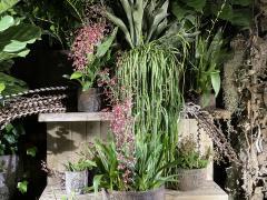 Bloemen - planten en décoratiezaak te Waals - Brabant Waals Brabant n°1
