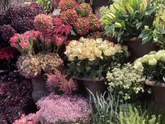 Bloemen - planten en décoratiezaak te Waals - Brabant Waals Brabant n°4