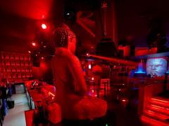 Te koop: Dancing - Beachclub in de regio Mons Henegouwen n°5