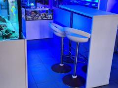 CONCEPT WINKEL GESPECIALISEERD IN KORALEN en ZEEWATERVISSEN Brussel Hoofdstad n°3