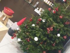 BAKKERIJ PATISSERIE DEPOT Brussel Hoofdstad n°1