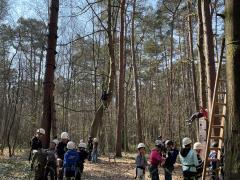 Outdoor accommodatie grenzend aan natuurgebied in de provincie Vlaams- Brabant Vlaams Brabant n°5