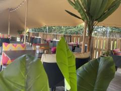 Te koop: Restaurant gelegen Zuid - West Vlaanderen Locatie niet gespecificeerd n°11