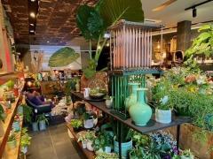 Te koop bloemen - planten - decoratieartikelen gelegen te Vlaams Brabant Vlaams Brabant n°1