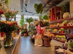 Te koop bloemen - planten - decoratieartikelen gelegen te Vlaams Brabant Vlaams Brabant n°2
