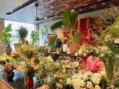 Te koop bloemen - planten - decoratieartikelen gelegen te Vlaams Brabant Vlaams Brabant n°4