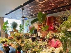 Te koop bloemen - planten - decoratieartikelen gelegen te Vlaams Brabant Vlaams Brabant n°6
