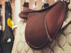 Te koop: Zaak gespecialiseerd in uitrusting en aanvullende producten voor de paardensport. Henegouwen n°3