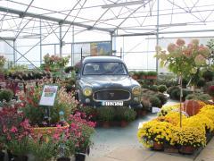 Tuincentrum met gebouw te koop gelegen FRANCE- NORMANDIE Frankrijk n°2