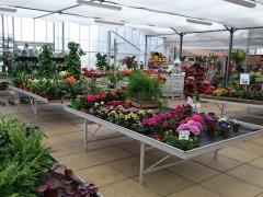 Tuincentrum met gebouw te koop gelegen FRANCE- NORMANDIE Frankrijk n°6