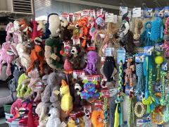 Te koop: een gespecialiseerde winkel in dierenproducten Waals Brabant n°3