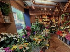 Te koop Bloemenzaak Brussel (BXL HOOFDSTEDELIJK GEWEST) Brussel Hoofdstad n°1