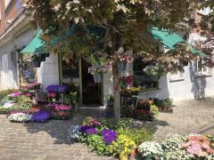 Te koop Bloemenzaak Brussel (BXL HOOFDSTEDELIJK GEWEST) Brussel Hoofdstad n°2