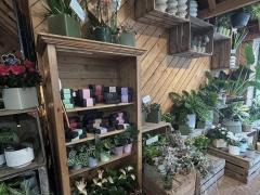 Te koop Bloemenzaak Brussel (BXL HOOFDSTEDELIJK GEWEST) Brussel Hoofdstad n°4