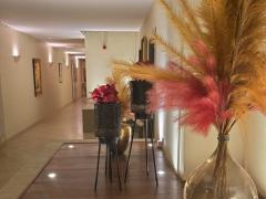 Te koop Operationeel hotel op slechts 2 km van de luchthaven van Charleroi Henegouwen n°3