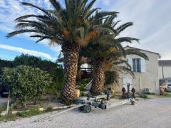 Een gerenommeerd en goed gevestigd watersportbedrijf, gelegen Middellandse Zeekust, grens met Spanje. Frankrijk n°4