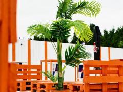 Dancing - Beach club regio Bergen Henegouwen n°3