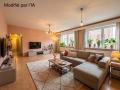 Vastgoedcomplex met commerciële gelijkvloerse ruimte en appartement met 2 slaapkamers Henegouwen n°9
