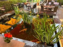 Gerenommeerd restaurant met woonst, ruim terras en een omzet van bijna één miljoen euro  n°6