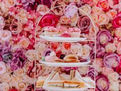 Unieke overnamekans in Antwerpen – Trendy High Tea Cake Lounge op toplocatie naast het MAS Antwerpen n°6